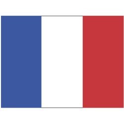 Pegatina rectangular Francia